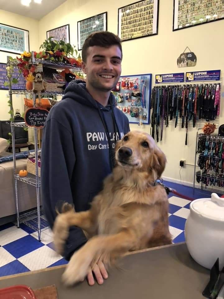 Kathleen with her Golden Retriever companion