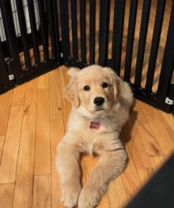 Alternative view of Tater